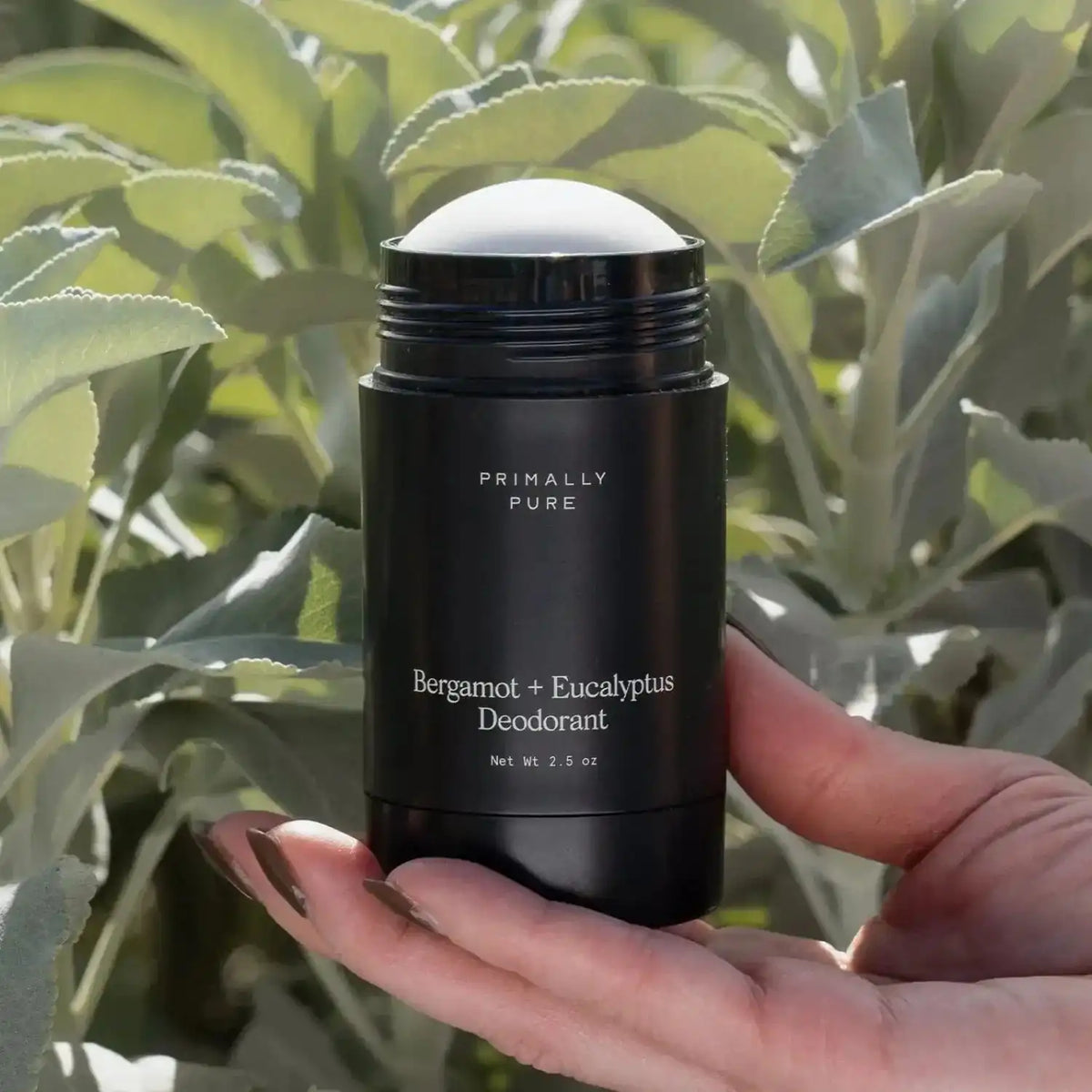 Bergamot + Eucalyptus Deodorant